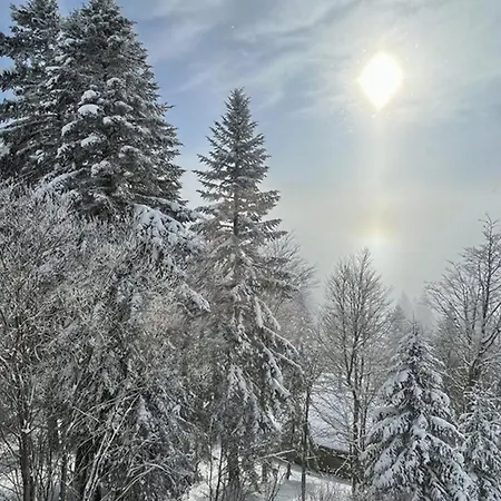 Coquet Avec Parking - 3 Pers., Proche Pistes Appartement Laveissière